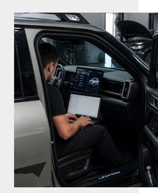 Русификация BYD Leopard 3 в Камне-на-Оби по цене от 20199 р. | ФастМобиль-Кно